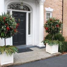 Outdoor planting,plants,pots