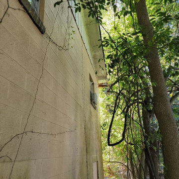 Termite Damage Is at it Again