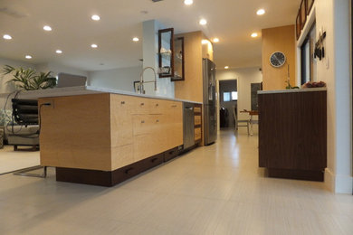 Example of a minimalist kitchen design in Orlando