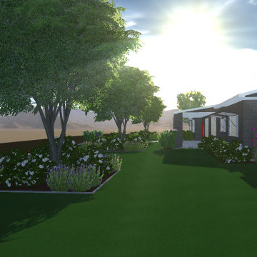 Arcadia Modern Landscape Renovation