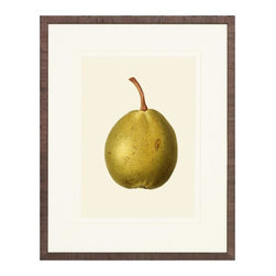Pear Art Prints - Fine Art Prints
