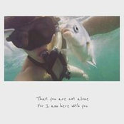 Frank Xia's photo