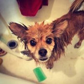 Matt Klasen's photo