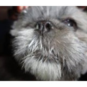 Nancy Meininger Ervin Glaysher's photo