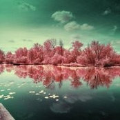 Danielle Haskett's photo