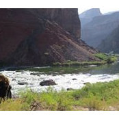 Heather Ratti's photo