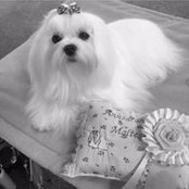 Brigitte Kirchner's photo