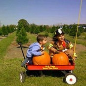 Tammy Darnell's photo