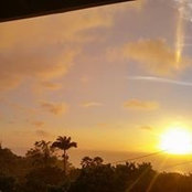 Shanon Macintyre's photo