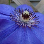 Carol Mccloskey's photo