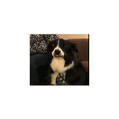 Lynn Palin's photo