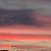 Dianne Purchase Leabo's photo