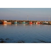 Laurie Scott's photo