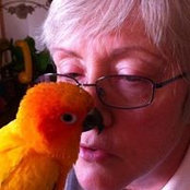 Foto von Marlene Schroeder