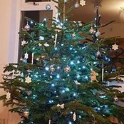 Angela Holroyd's photo