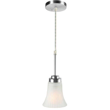 Lite Source LS-19941SS/FRO 1 Light Pendant Lamp - Stainless Steel