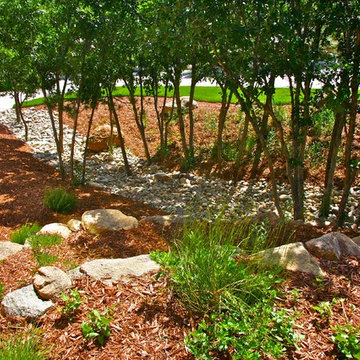 Landscapes and Xeriscapes