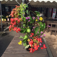 鈴田峠農園有限会社 長崎県大村市中里町の造園 ガーデンデザイナー Houzz ハウズ