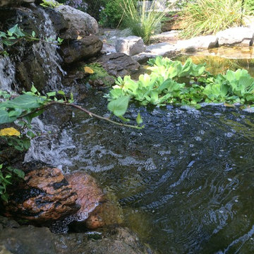 Japanese garden in Richmond Hill