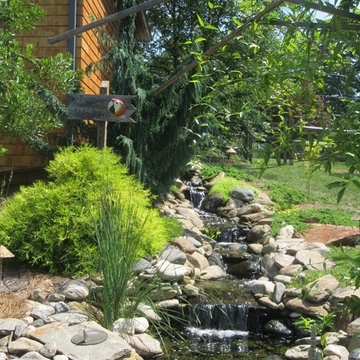 Ponds & Streams