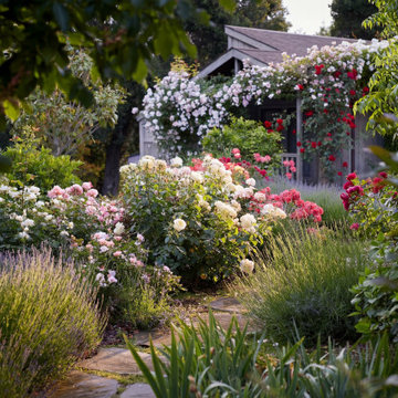 Layered Garden Border with Mixed Planting