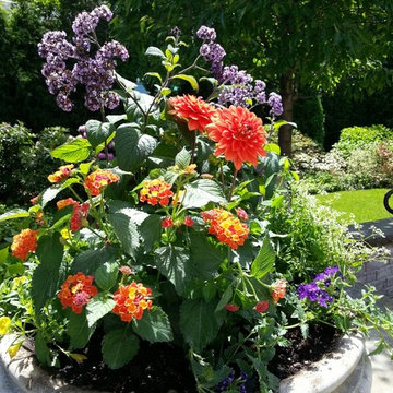 Container Gardens
