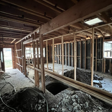 Fremont Full Home Remodel