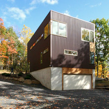 Skinny house