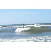 Maria Vitorovich's photo