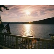 Lisa Bartlett's photo