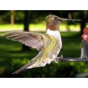 Beth Fusco's photo