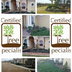 Certified Tree Specialist