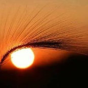 Caroline Jamaigne's photo