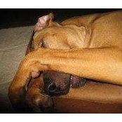 Samantha Halloran's photo