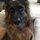 webuser_836351778