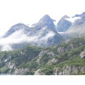 Catherine Miller's photo