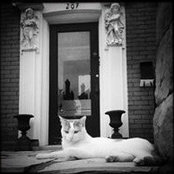 Joshua Enns's photo