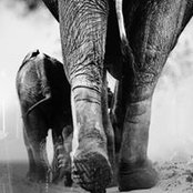 Dawn Sneddon's photo