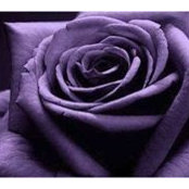 Mary Davis's photo