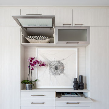 Elegant Space-Saving External Wardrobe with Media Alcove