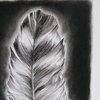 "Large Charcoal Feather I Drawing, Original, Drawing"