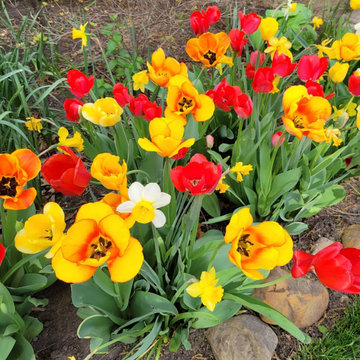 Spring Gardens $