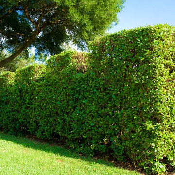 Property Maintenance Tampa