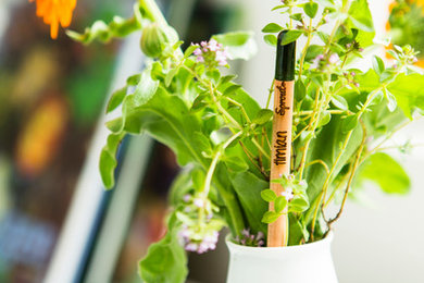 Sprout Pencil - Plant your pencil