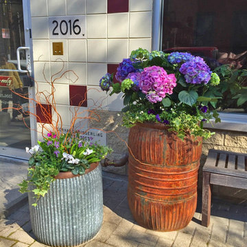Chicago - Spring annuals 2016
