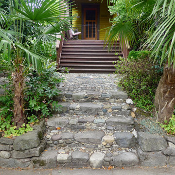 Petit Steps