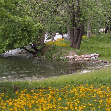 Shoreline Protection