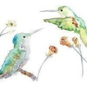 Sarah Morsman's photo