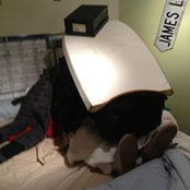 James Walton's photo
