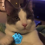 Jane Hambrick's photo
